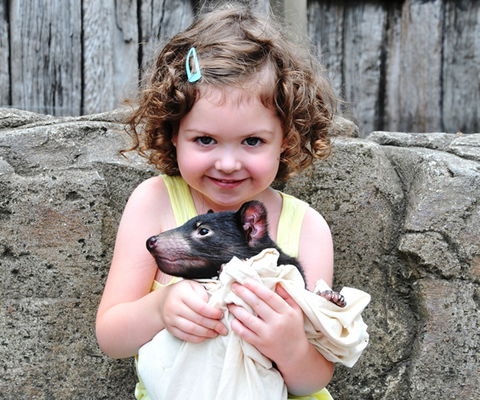 Australian Reptile Park - Accommodation Broome 8