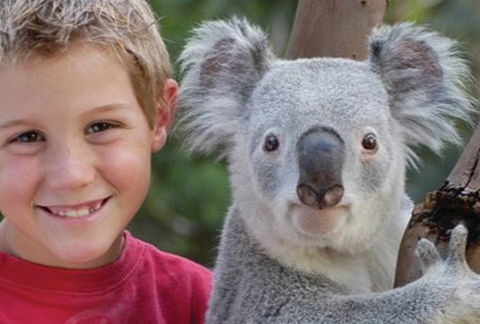 Featherdale Wildlife Park - Accommodation Broome 1