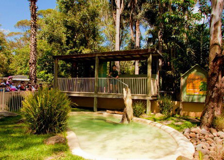 Featherdale Wildlife Park - Accommodation Broome 2