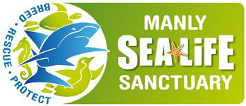 Manly SEA LIFE Sanctuary - Accommodation Broome 0