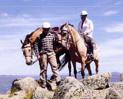 High Country Horses - Accommodation Broome 3
