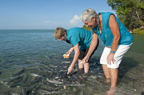 Aquascene Fish Feeding Sanctuary - Accommodation Broome 0
