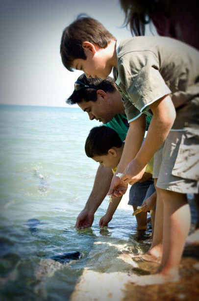 Aquascene Fish Feeding Sanctuary - Accommodation Broome 3