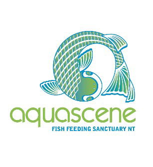 Aquascene Fish Feeding Sanctuary - Accommodation Broome 5