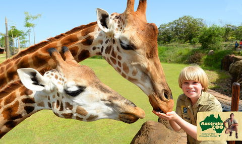 Australia Zoo - Accommodation Broome 4