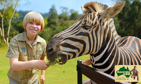 Australia Zoo - Accommodation Broome 5
