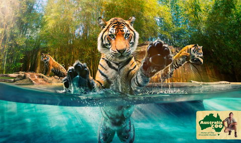 Australia Zoo - Accommodation Broome 9