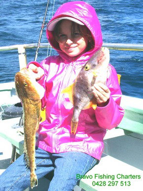 Bravo Fishing Charters - Accommodation Broome 5