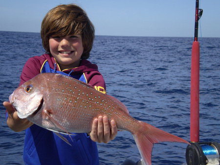 Mills Charters Fishing And Whale Watch Cruises - Accommodation Broome 4