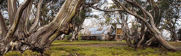 High Country Scenic Tours - Accommodation Broome