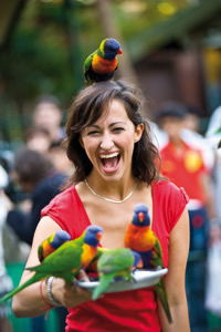 Currumbin Wildlife Sanctuary - Accommodation Broome 10