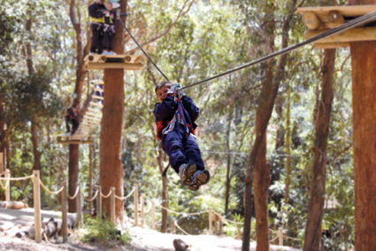 Currumbin Wildlife Sanctuary - Accommodation Broome 11