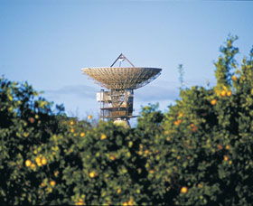 Big Dish - Accommodation Broome 0