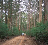Boranup Drive