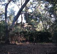 Ghost House Walk Trail Yanchep National Park - Accommodation Broome