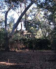 Ghost House Walk Trail, Yanchep National Park - Accommodation Broome 0