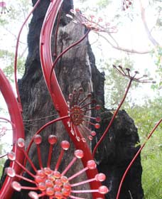 Understory Art In Nature - Accommodation Broome 0