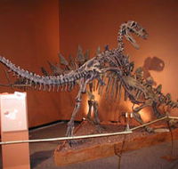 Denmark Dinosaur World - Accommodation Broome