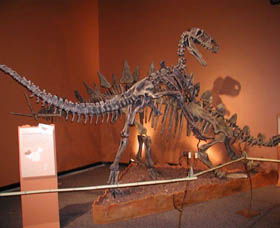 Denmark Dinosaur World - Accommodation Broome 0