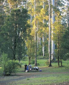 Big Brook Arboretum - Accommodation Broome 0