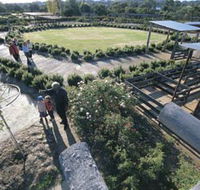 Kojonup Rose Maze