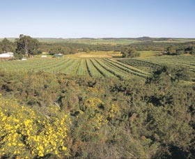 Chapman Valley Scenic Drive - Accommodation Broome 0