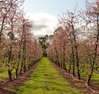 Raeburn Orchards - Accommodation Broome