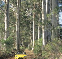 Mount Shadforth Scenic Drive - Accommodation Broome