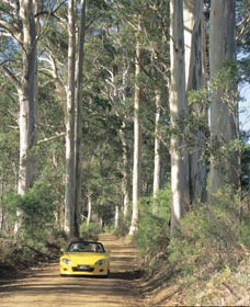 Mount Shadforth Scenic Drive - Accommodation Broome 0