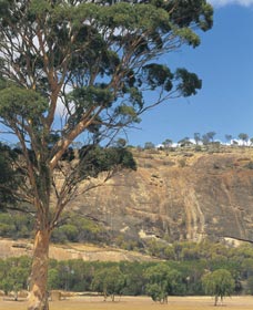 Mount Stirling - Accommodation Broome 0