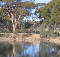 Merredin Railway Dam - Accommodation Broome