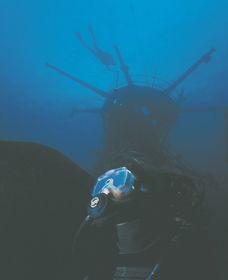 Swan Dive Wreck - Accommodation Broome 0