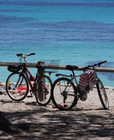 Parker Point Marine Snorkel Trail - Accommodation Broome 0