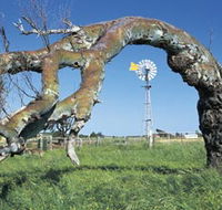 Greenough Leaning Trees - Accommodation Broome