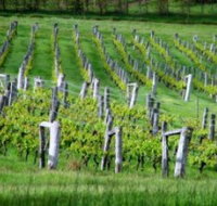 Sienna Estate Winery - Accommodation Broome