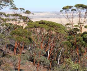 Mount Matilda Walk Trail, Wongan Hills - Accommodation Broome 0