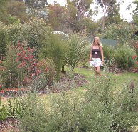 The Mythic Mazes - Accommodation Broome