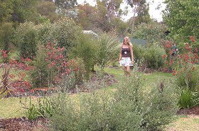 The Mythic Mazes - Accommodation Broome 0