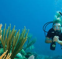 Coastal Water Dive - Accommodation Broome