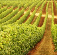 MadFish Wines Denmark - Accommodation Broome