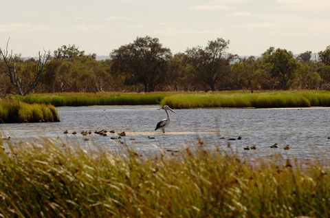 Anytime Adventures In Mandurah & The Peel Region - Accommodation Broome 0