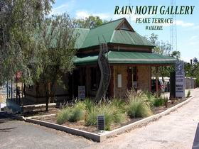 Rain Moth Gallery - Accommodation Broome 0