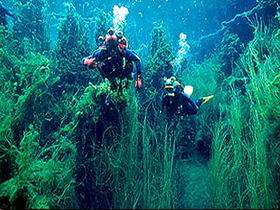 Glenburnie SA Accommodation Broome