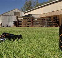 Wilkadene Woolshed Brewery - Accommodation Broome