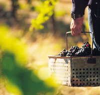 Burge Family Winemakers - Accommodation Broome