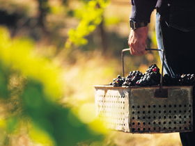 Burge Family Winemakers - Accommodation Broome 0