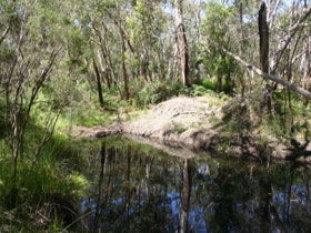 Para Wirra Recreation Park - Accommodation Broome 0