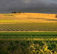 Kellermeister Wines - Accommodation Broome