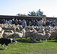 Curringa Farm - Accommodation and Farm Tours - Accommodation Broome
