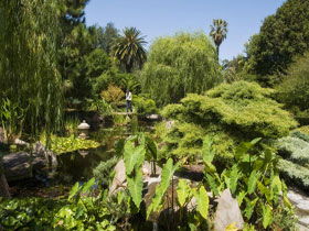 Adelaide Himeji Garden - Accommodation Broome 0